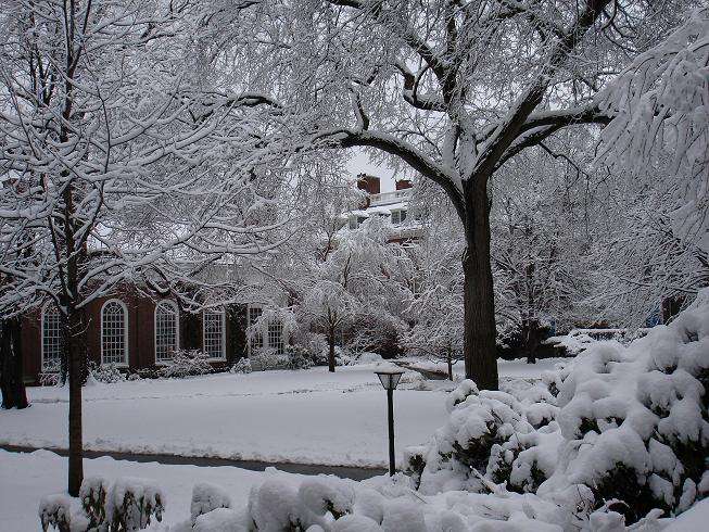 A typical winter scene, showing a front garden covered in snow